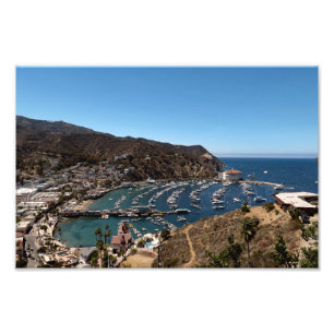 Santa Catalina Island Photo Print