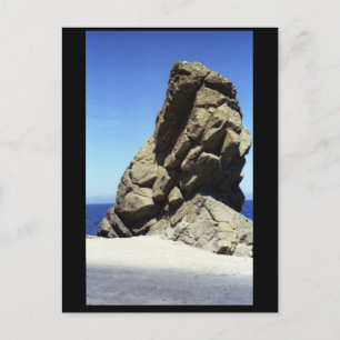 Santa Catalina Island Postcard