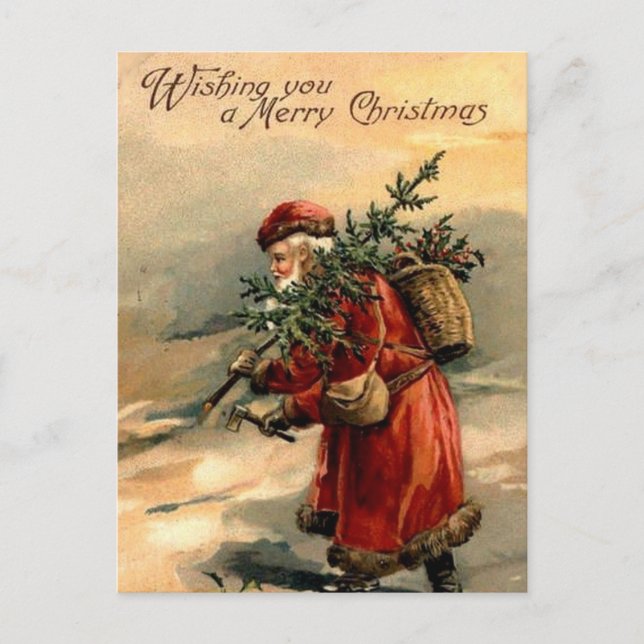 Santa Claus and Christmas Tree Postcard (Front)
