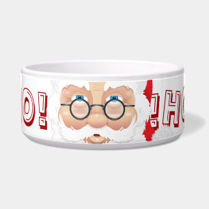 Santa Claus Christmas Holiday