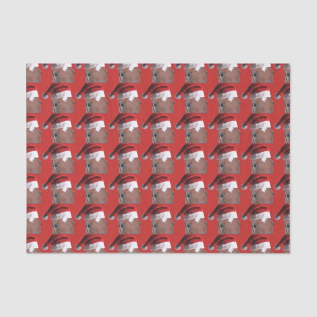 Santa Claus Christmas Horse Tissue Paper (Front)