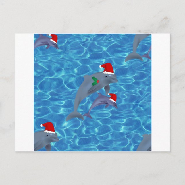 santa claus dolphins holiday postcard (Front)