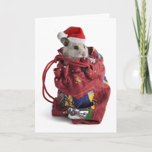 Santa Claus Hamster Holiday Card (Front)