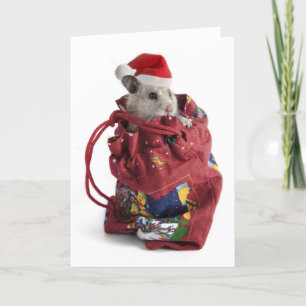 Santa Claus Hamster Holiday Card