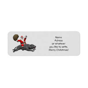 Santa Claus Riding A Grey Panther
