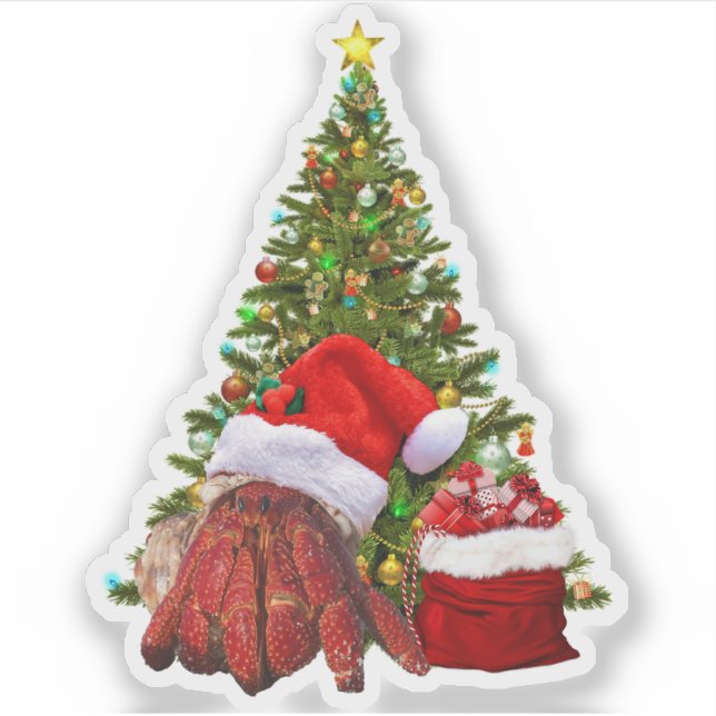 Santa Crab Funny Christmas Hermit Crab Lover (Front)