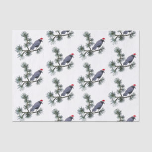 Santa Crow in Pine Tissue Paper