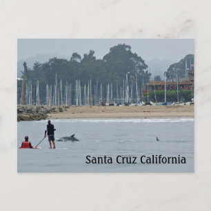 Santa Cruz California Postcard