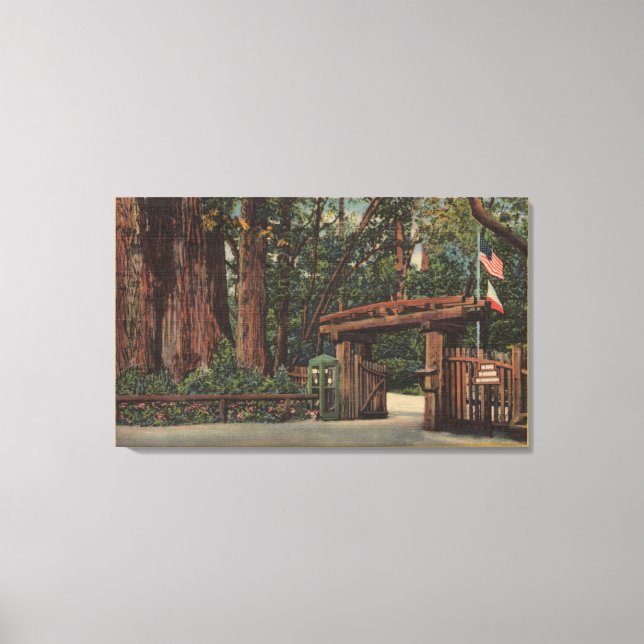 Santa Cruz County, CA Entrance to Big Trees Park Canvas Print (Front)
