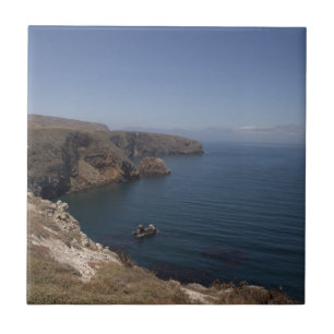 Santa Cruz Island Series 7 Tile