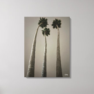 Santa Cruz Palms at Night Wall Art