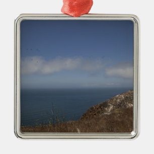 Santa Cruz Series 2 Metal Ornament