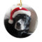 Santa Dog-Labrador Rottweiler Mix