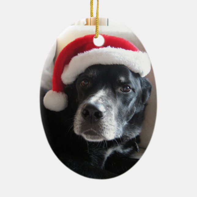 Santa Dog-Labrador Rottweiler Mix Ceramic Ornament (Back)