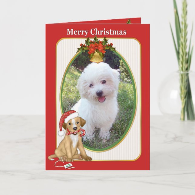 Santa Dog Pet Photo Greeting Holiday Card (Front)