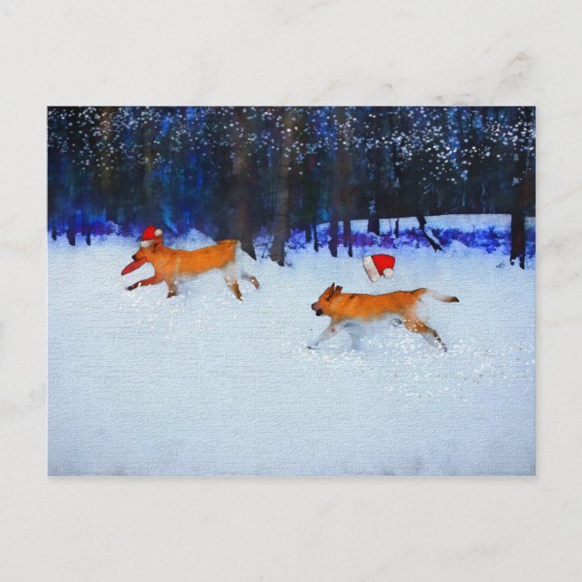 Santa Dogs Dashing Through the Snow Holiday Postcard (Front)