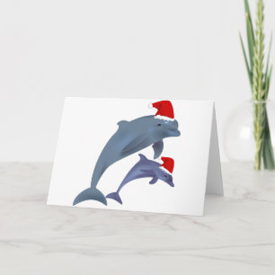 santa dolphins holiday card