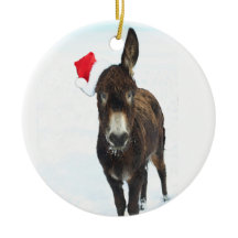 Santa Donkey