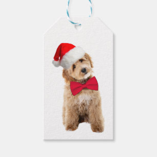 Santa Doodle Dog Gift Tags