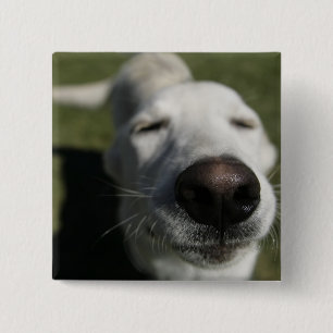Santa Fe, New Mexico 2 Inch Square Button