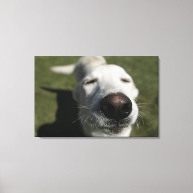 Santa Fe, New Mexico Canvas Print (Front)