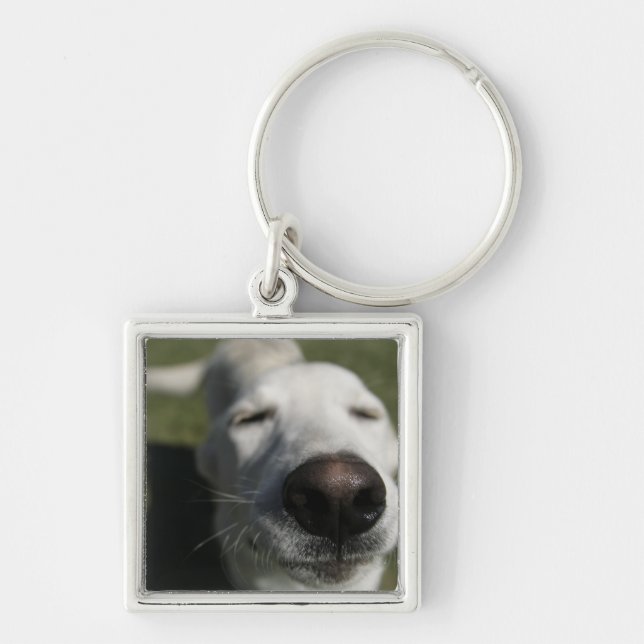 Santa Fe, New Mexico Keychain (Front)