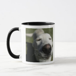 Santa Fe, New Mexico Mug