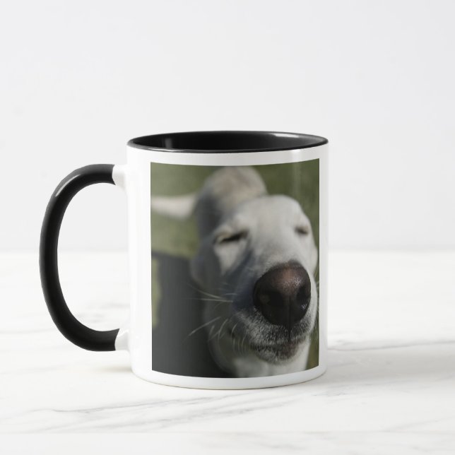 Santa Fe, New Mexico Mug (Left)