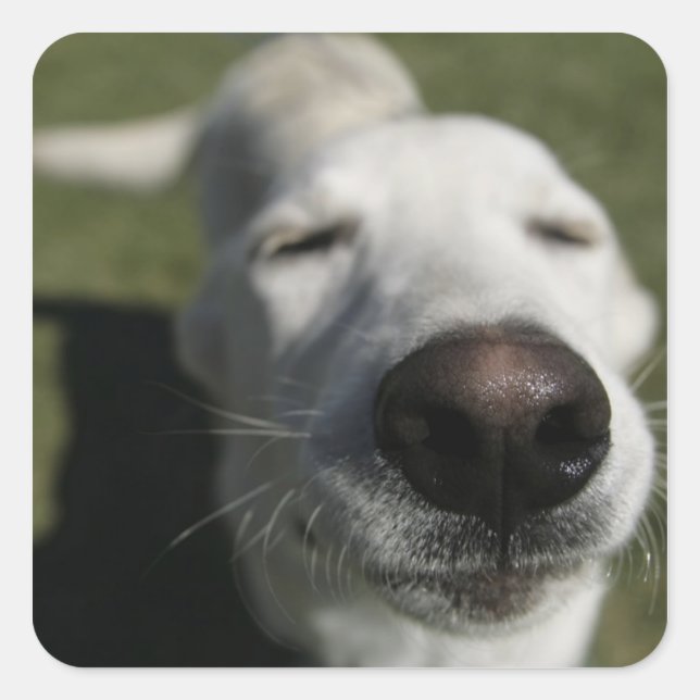 Santa Fe, New Mexico Square Sticker (Front)