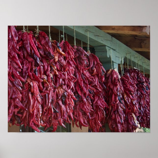 Santa Fe Red Chili Ristras New Mexico Poster (Front)