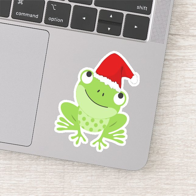 Santa Frog (Detail)
