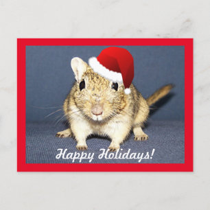 Santa Gerbil Holiday Postcard