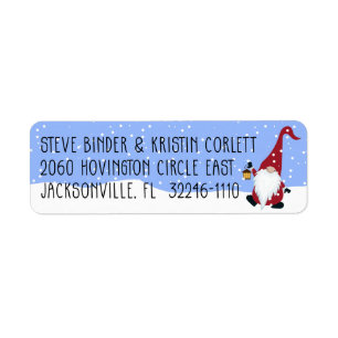 Santa Gnome Christmas