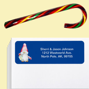 Santa Gnome for Holidays Christmas Blue Address