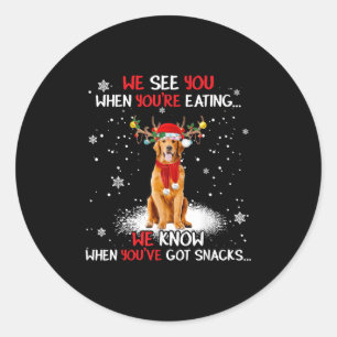 Santa Golden Retriever Reindeer Light Christmas Pa Classic Round Sticker