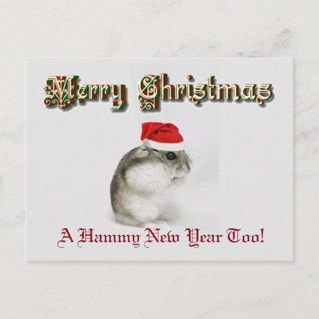 Santa Hamster Holiday Postcard (Front)