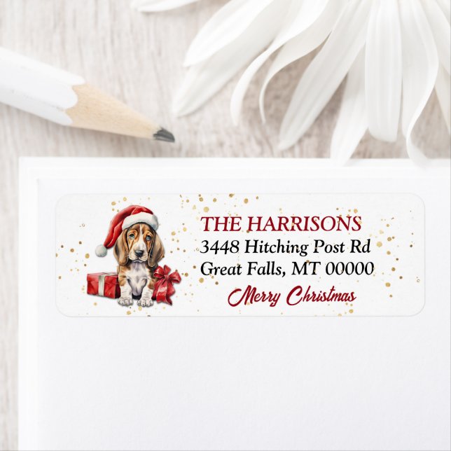 Santa Hat Basset Hound Chiffres (En situation)