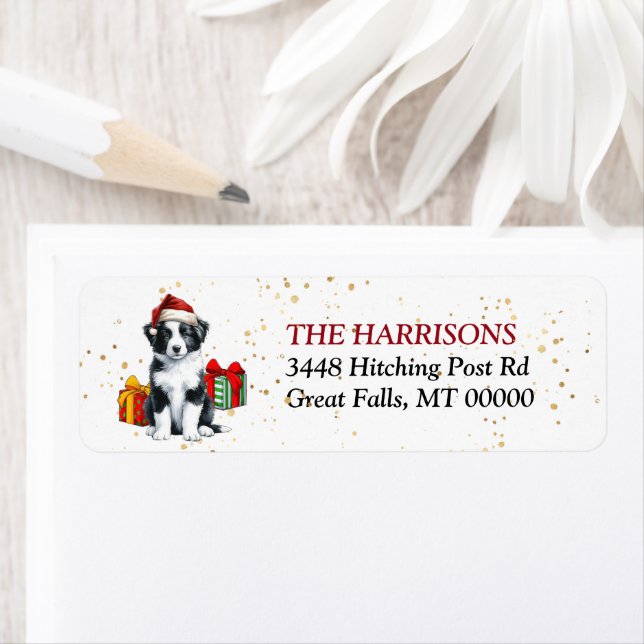 Santa Hat Border Collie Puppy Gifts (Insitu)