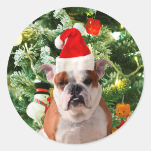 Santa Hat Bulldog Christmas Tree Snowman Gift Box Classic Round Sticker