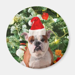 Santa Hat Bulldog Christmas Tree Snowman Gift Box Magnet