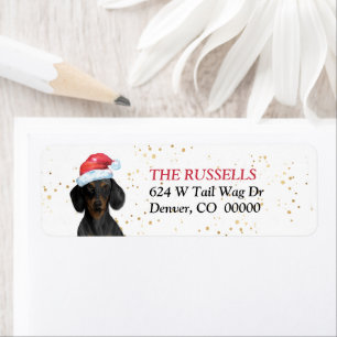 Santa Hat Dachshund Chien Noël Adresse de retour
