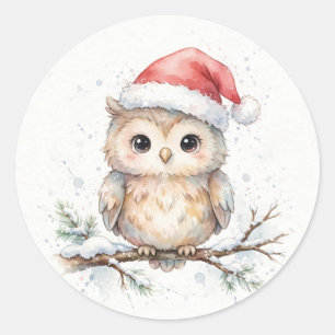 Santa Hat Owl on Snowy Branch Classic Round Sticker