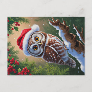 Santa Hat Owl Postcard
