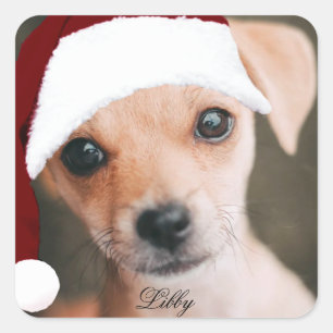 Santa hat pet photo custom personalized photo  squ square sticker