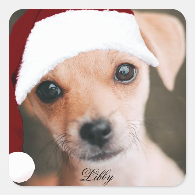 Santa hat pet photo custom personalized photo  squ square sticker (Front)