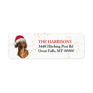 Santa Hat Red Dachshund Adresse de retour