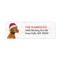 Santa Hat Vizsla Chien Retour Adresse
