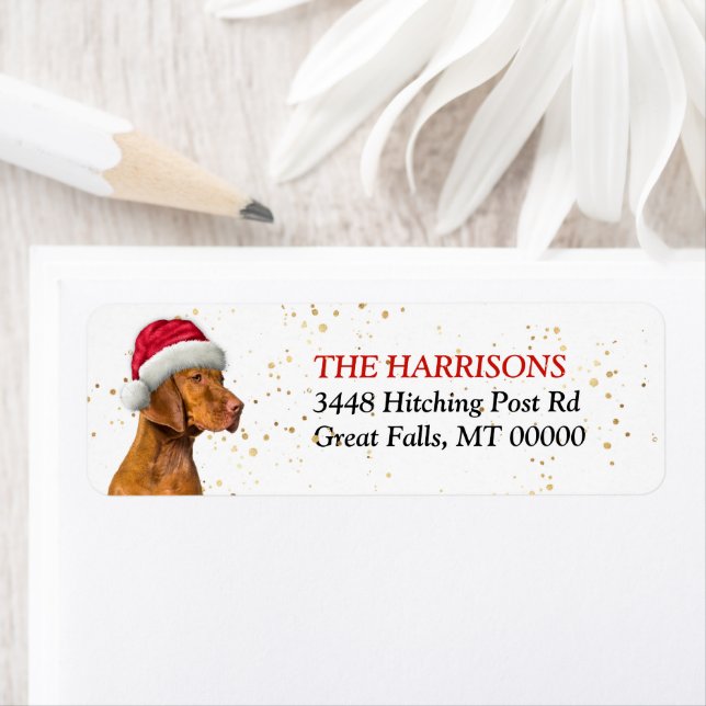 Santa Hat Vizsla Dog Return Address (Insitu)