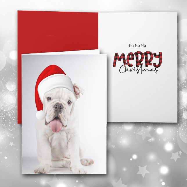 Santa Hat White Bulldog Puppy Christmas Card (Creator Uploaded)
