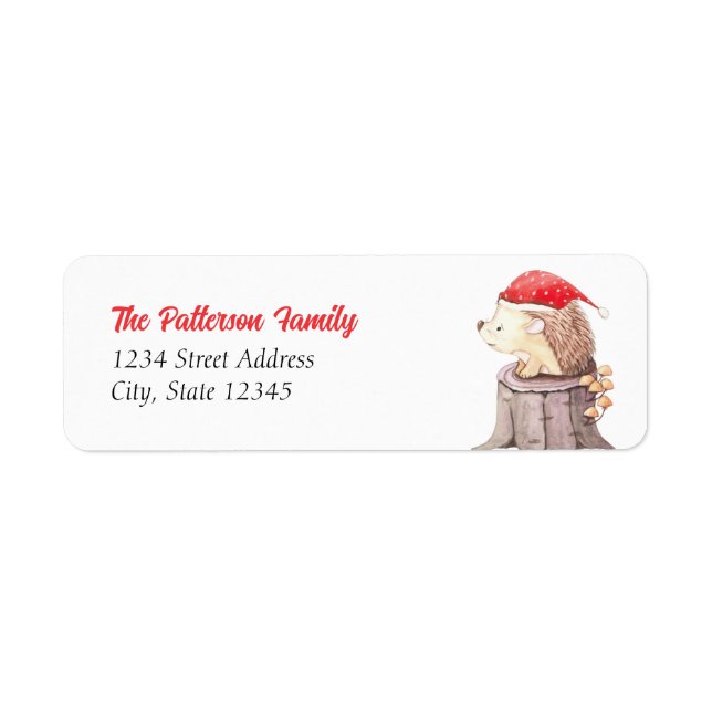 Santa Hedgehog Christmas (Front)
